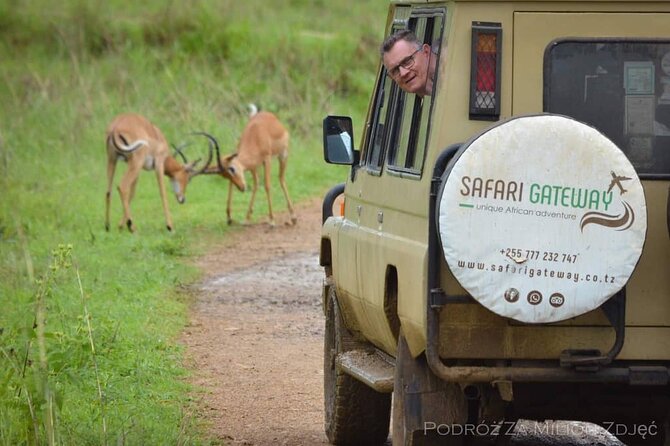 Mikumi Safari Tour: Day Trip Return Flight From Zanzibar - The animals you may see from the safari vehicle