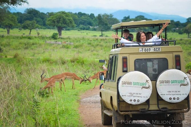 Mikumi Safari Tour: Day Trip Return Flight From Zanzibar - Why a group of seven changes the feel