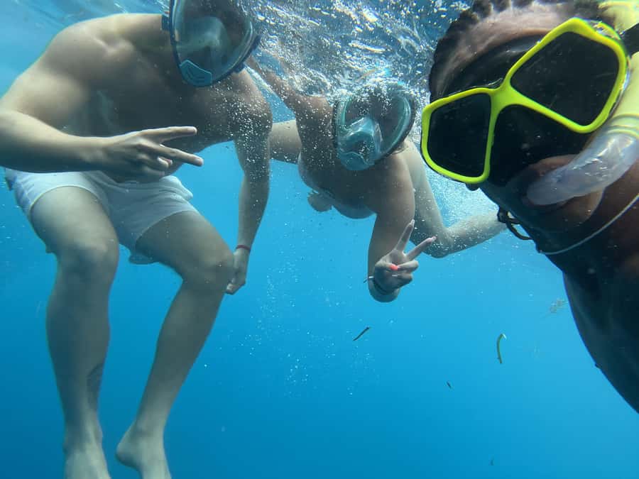 Mnemba dolphin & snorkel: from matemwe, pwani, kwingwa, Uroa - What the Mnemba morning is really about