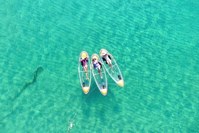 Mnemba Dolphin Tour, Clear Kayak, Cooking Class, Horse Riding - What the $220 price really buys you
