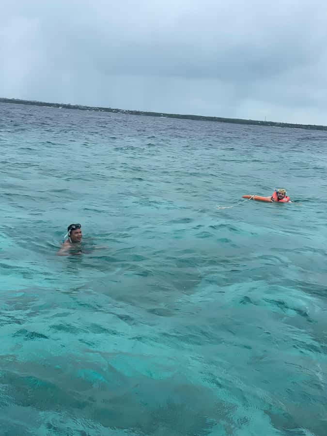 Mnemba from Kendwa & nungwi half day - Sea conditions, comfort, and who should book
