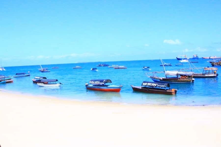 Mnemba from Kendwa & nungwi half day - The boat ride and snorkeling equipment stop
