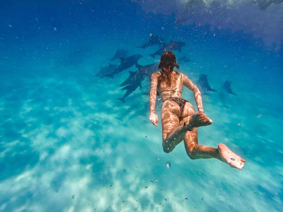 Mnemba Island: Dolphin Swim & Snorkeling with Optional Lunch - What the Mnemba experience is really like