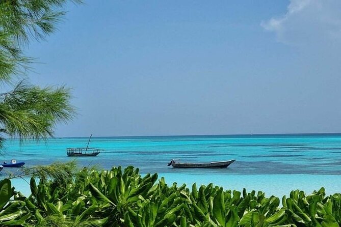 Mnemba Island Half Day Live Aquarium With Transfer - Zanzibar - Mnemba Island snorkeling at a glance