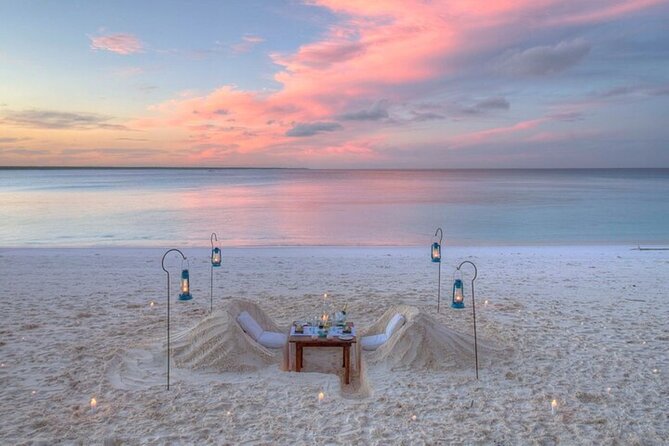 Mnemba Island Half Day Live Aquarium With Transfer - Zanzibar - Dolphin watching without false promises