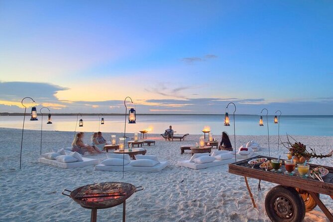 Mnemba Island Half Day Live Aquarium With Transfer - Zanzibar - Guide quality can shape the whole morning