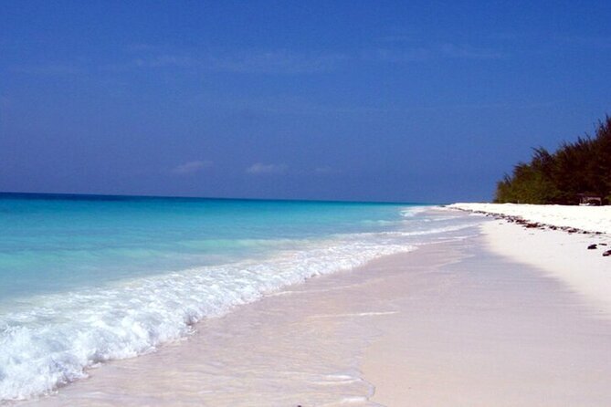 Mnemba Island Half Day Live Aquarium With Transfer - Zanzibar - Who should book this half-day trip?