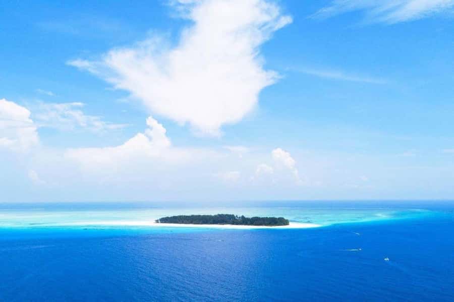 Mnemba Island, Jozani Forest, Kuza Cave, The Rock Restaurant - Jozani Forest and Zanzibar’s red colobus monkeys