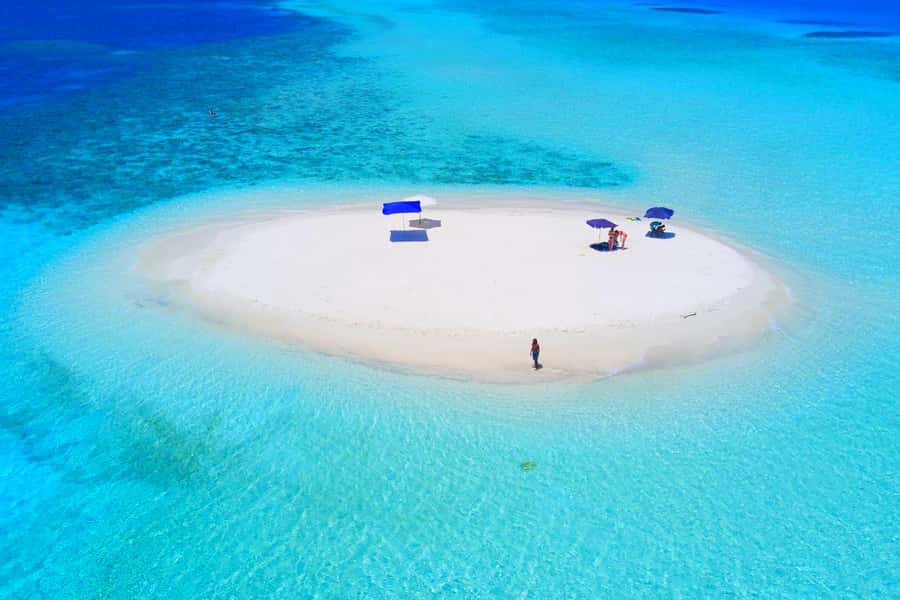 Mnemba Island, Jozani Forest, Starfish Adventure, The Rock - Key points to know before booking