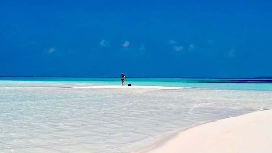 Mnemba Island, Jozani Forest, Starfish Adventure, The Rock - Jozani Forest and Zanzibar’s red colobus monkeys