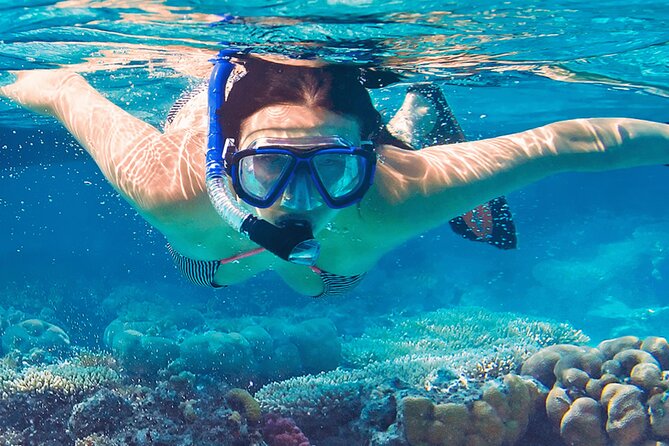 Mnemba Island Marine Safari Snorkeling and Dolphin Watching - Who will enjoy this four-hour outing