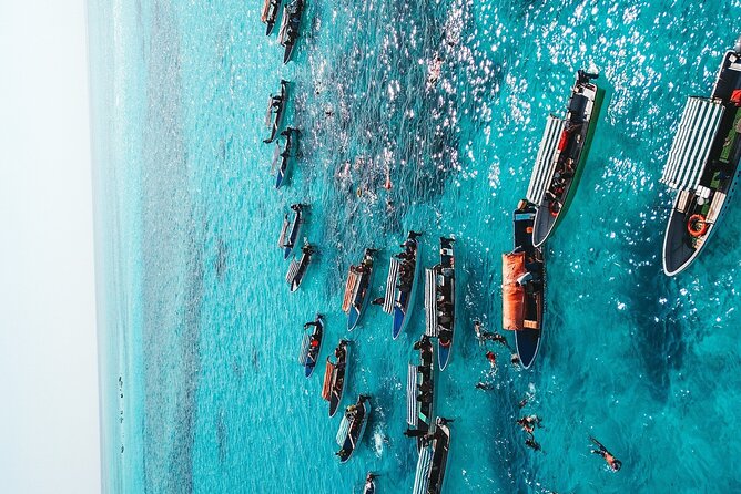 Mnemba Island, Nungwi Village & Sea Turtle Experience - Mnemba Atoll By Boat
