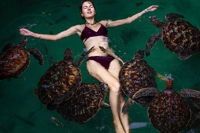 Mnemba Island, Nungwi Village & Sea Turtle Experience - Guides, Drivers And The Private Format