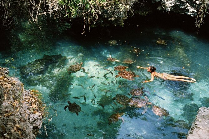 Mnemba Island, Nungwi Village & Sea Turtle Experience - Nungwi Village: Beyond The Resort Strip