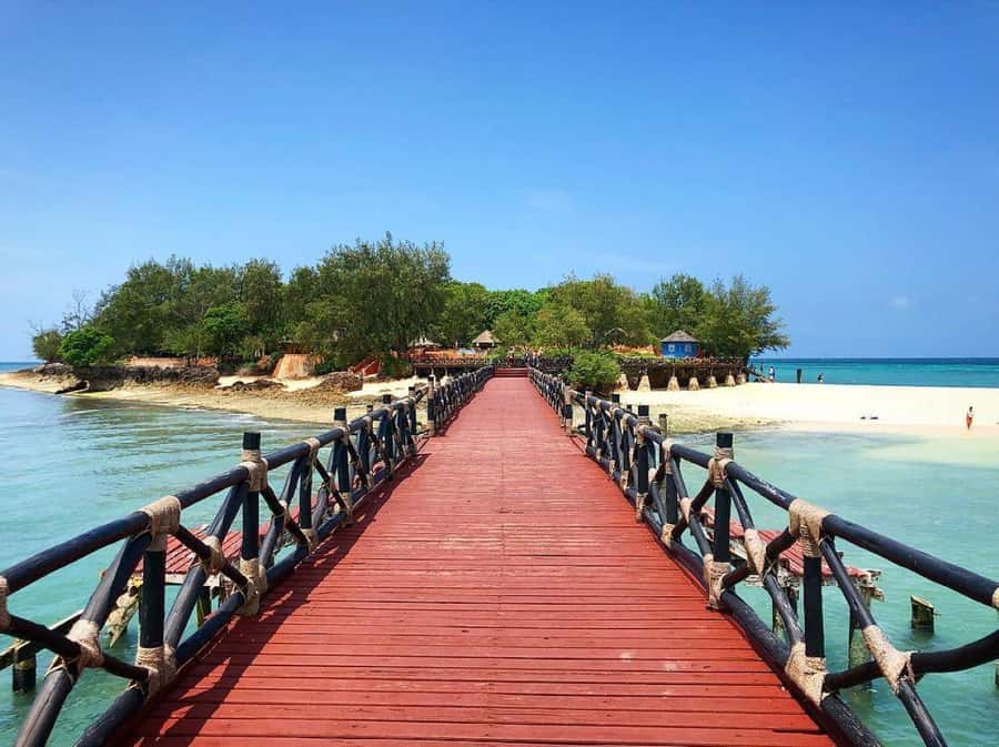Mnemba Island, Prison Island, Secret Garden, Jozani Forest - One long day across Zanzibar’s south