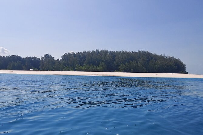 Mnemba Island Snorkeling and Dolphin tour - Key points to know before you book