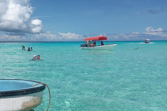 Mnemba Island Snorkeling and Dolphin tour - Dolphin watching: a wonderful possibility, not a promise