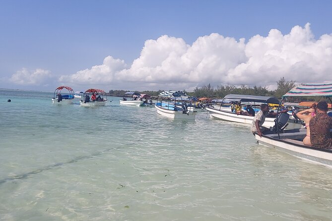 Mnemba Island Snorkeling and Dolphin tour - Snorkeling among turtles, starfish, and reef fish