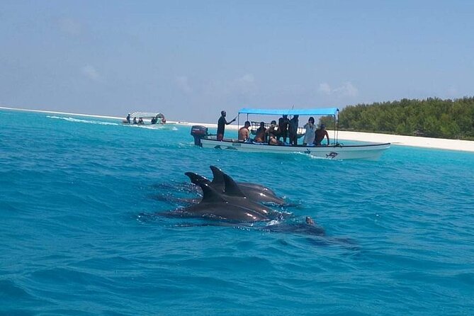 Mnemba Island snorkeling and Swimming with Dolphin - The sandbank and its uncertain shape