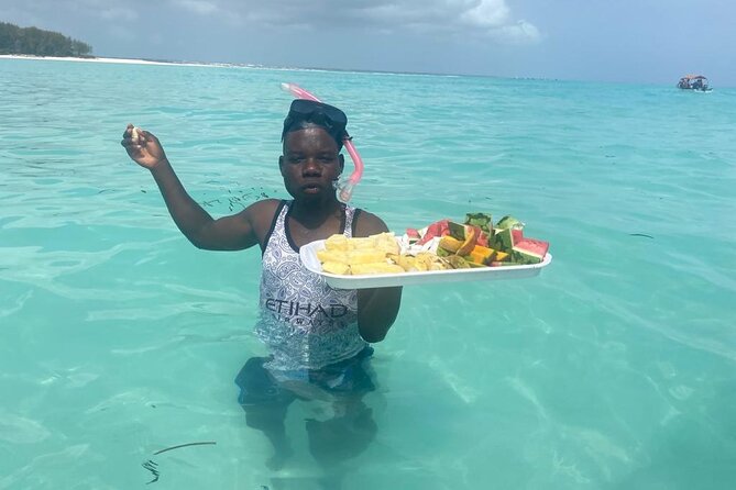 Mnemba Island snorkeling and Swimming with Dolphin - Is $55 good value?