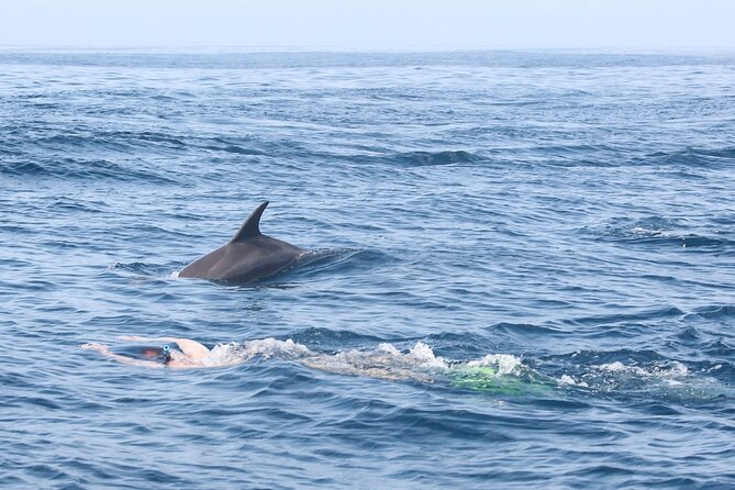 Mnemba Island Snorkeling and Swimming with Dolphins - What the Mnemba Island morning looks like