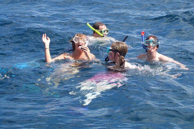 Mnemba Island Snorkeling and Swimming with Dolphins - Practical advice for a better morning