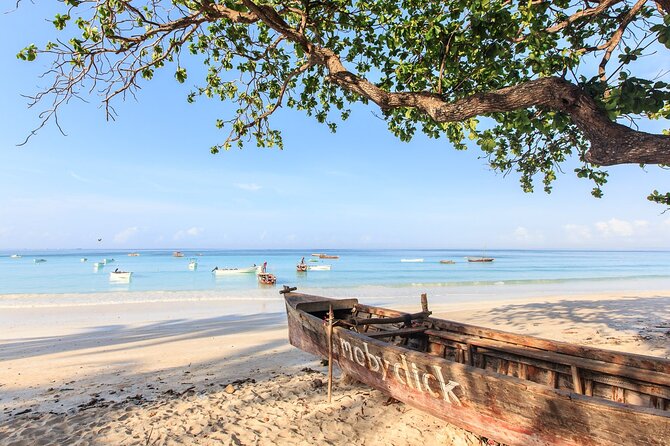 Mnemba Island Snorkeling and Swimming with Dolphins - Snorkeling the reef, with realistic expectations