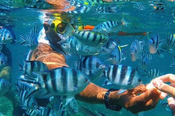 Mnemba island snorkeling tour - Fruit, snacks, and drinks on the water