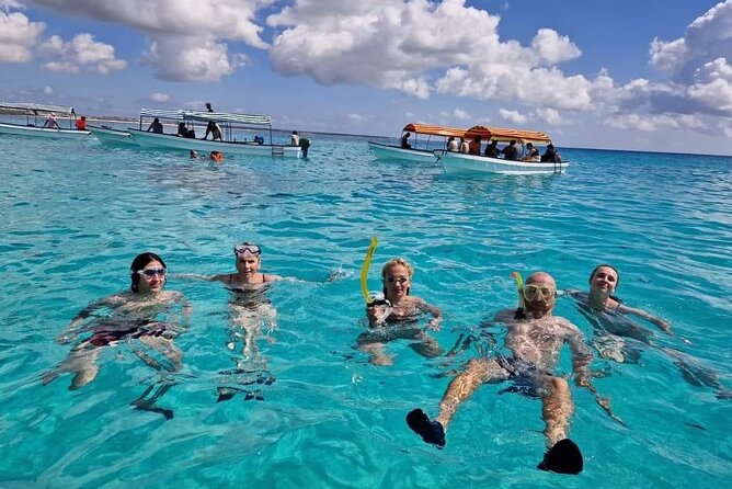Mnemba island snorkeling tour - What the $100 price really covers
