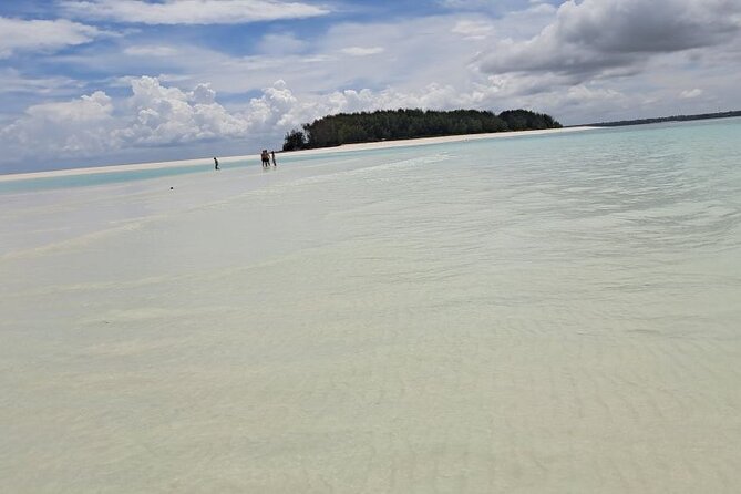 Mnemba Snorkeling, Dolphin and Baraka Natural Aquarium - Why This Five-Hour Zanzibar Trip Works So Well
