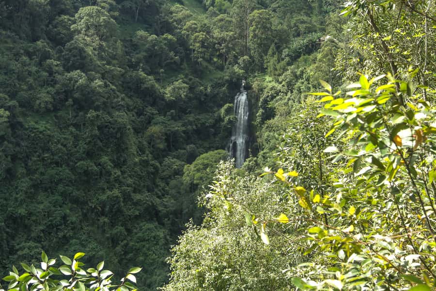 Moshi: A Day Tour To Materuni Waterfall - Meeting the Chaga Community Through Food and Tradition