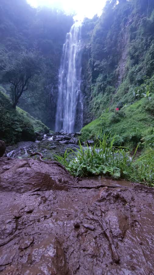 Moshi: A Day Tour To Materuni Waterfall - Timing, Group Size, and Physical Demands