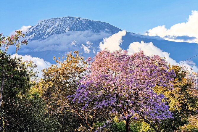 Moshi City Tour: Explore the Foothill of Kilimanjaro on Foot - What Makes This Moshi Walk Worth Your Time