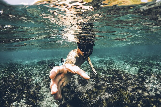 Moshi Hotspring - What the guide adds to the day