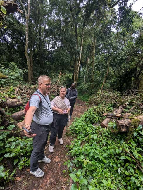 Moshi: Kilimanjaro Climb Marangu Route Guided Tour - The Rainforest Section: A Gentle Start With Plenty to See