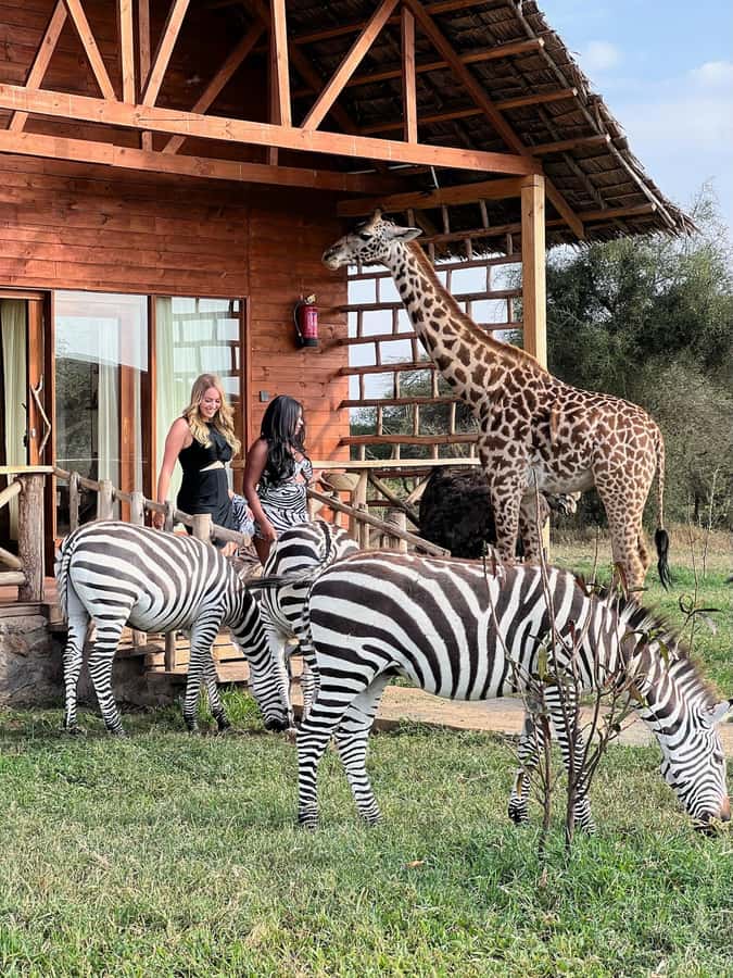 Moshi: Serval Wildlife Tour with food and drinks - Key points to know before you go
