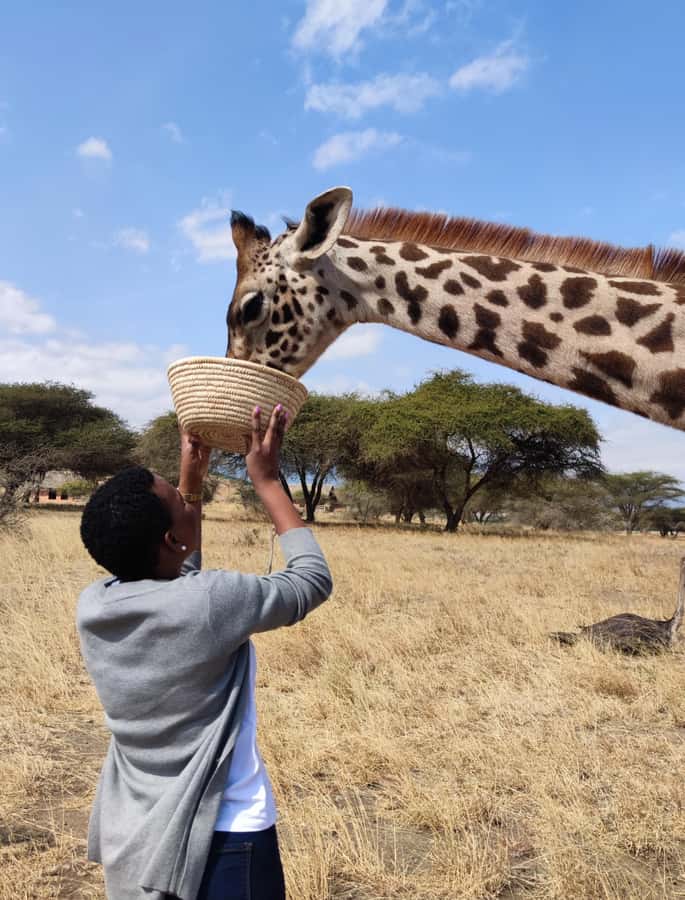 Moshi: Serval Wildlife Tour with food and drinks - Inside Serval Wildlife Sanctuary