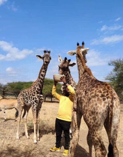 Serval Wildlife Tour with food and drinks