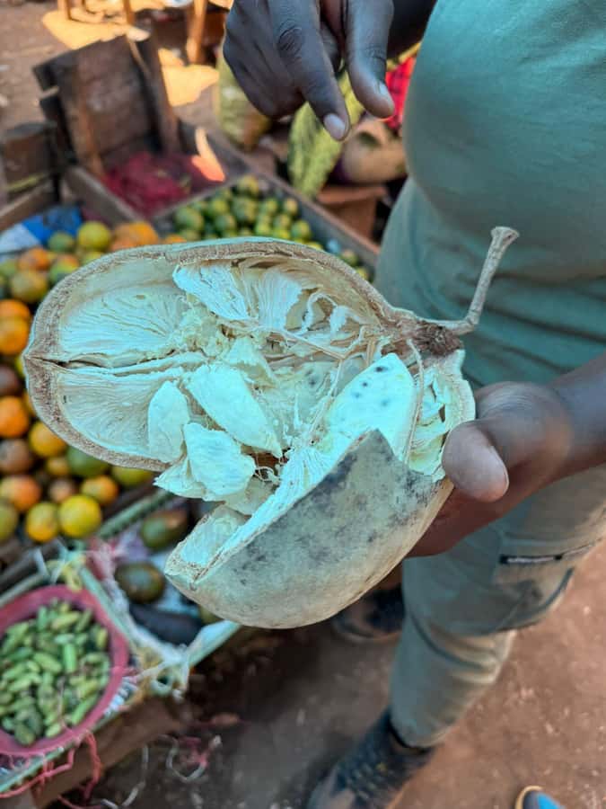 Moshi: Town tour and Local Markets tour - Blue Zebra Art, Tanzanite, and the final shopping stop