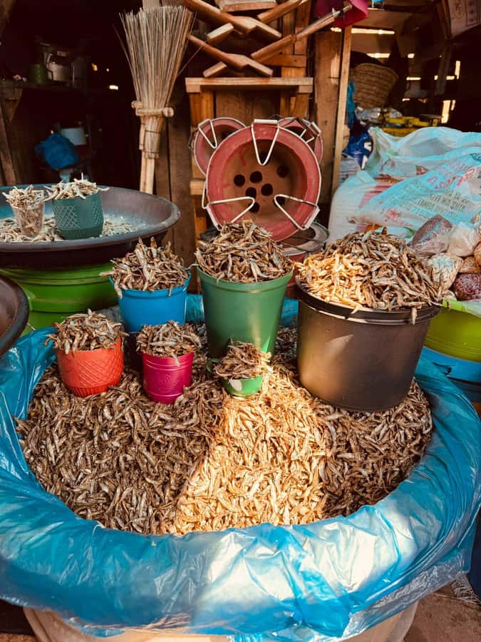Moshi: Town tour and Local Markets tour - Who should book this tour?