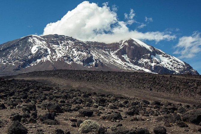 Mount Kilimanjaro 6 days - Machame route - Day 2: Machame Camp to Shira Camp