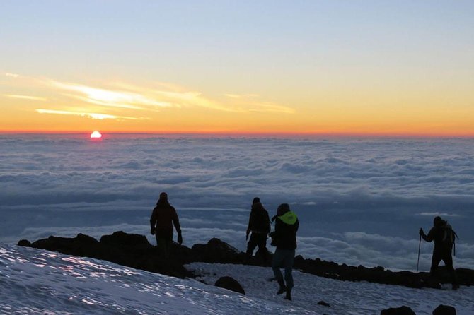 Mount Kilimanjaro 6 days - Machame route - Day 3: Shira Plateau, Lava Tower, and Barranco Camp