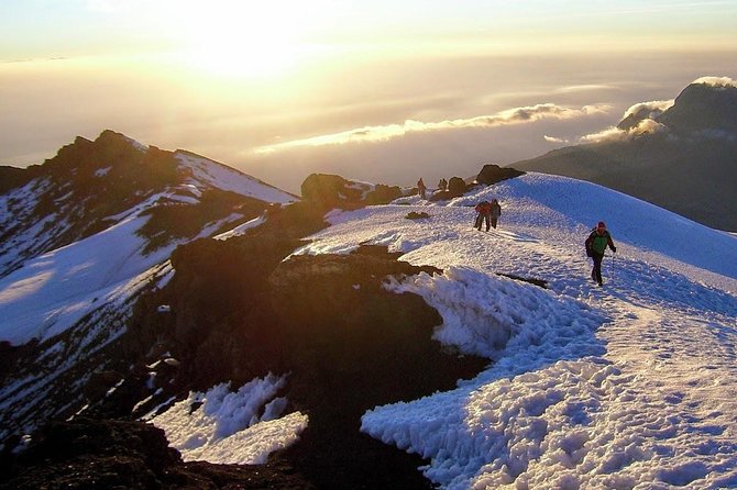 Mount Kilimanjaro 6 days - Machame route - Day 6: Mweka Trail and return to Moshi