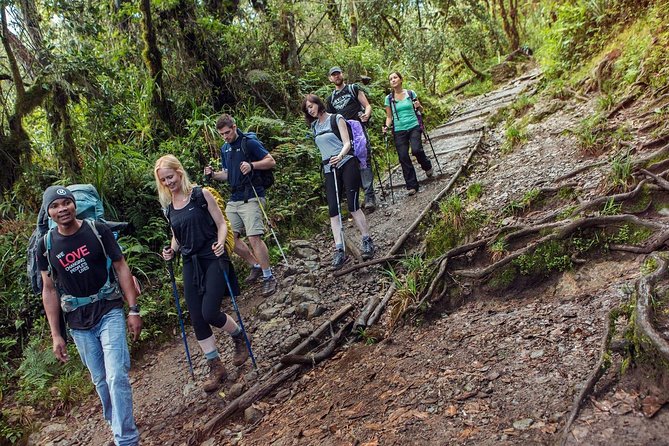 Mount Kilimanjaro 7 Days - Machame Route - Day four: Climbing the Barranco Wall