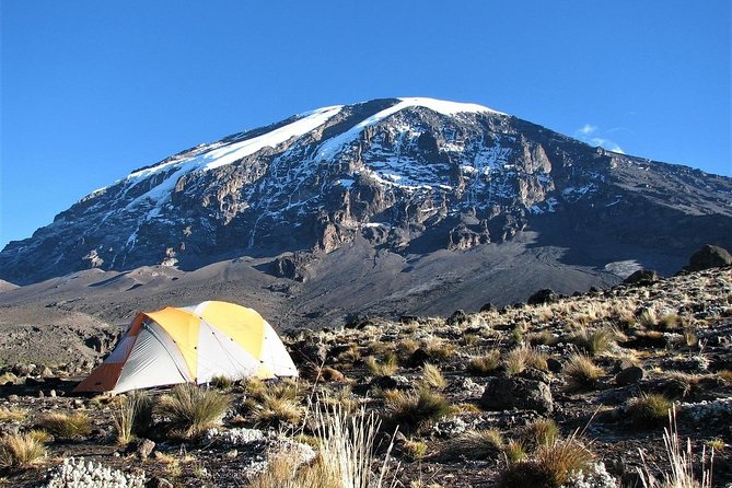 Mount Kilimanjaro 7 Days - Machame Route - Day five: Barafu Camp and the final preparation