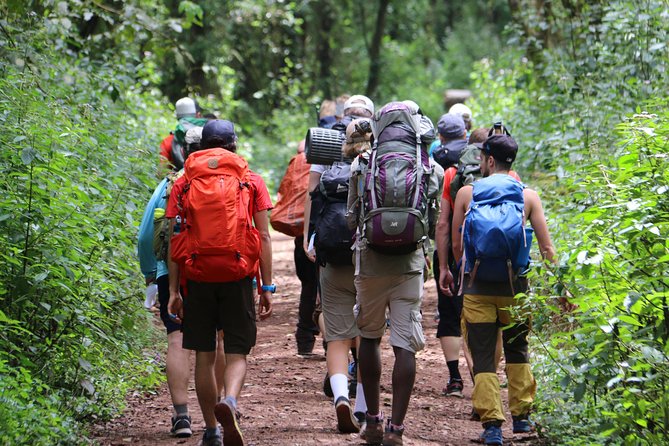 Mount Kilimanjaro Day Hike - The 7:00 a.m. pickup from Arusha