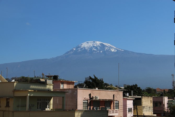 Mount Kilimanjaro Day Hike - Four hours through Kilimanjaro’s rainforest