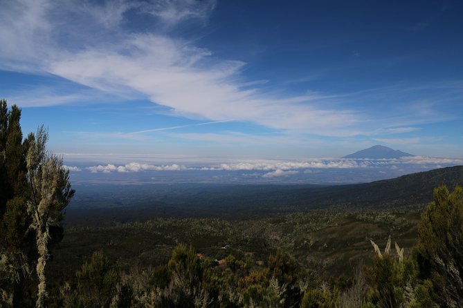 Mount Kilimanjaro Day Hike - Who should book this hike