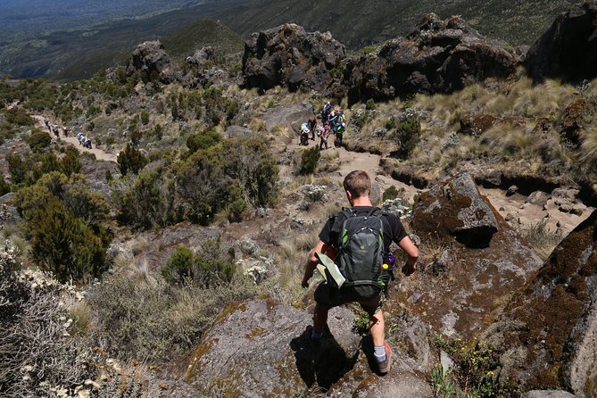 Mount Kilimanjaro Day Hike - Maundi Crater and lunch with Kilimanjaro views