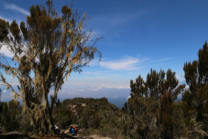 Mount Kilimanjaro Day Hike - Is $267 per person a fair price?